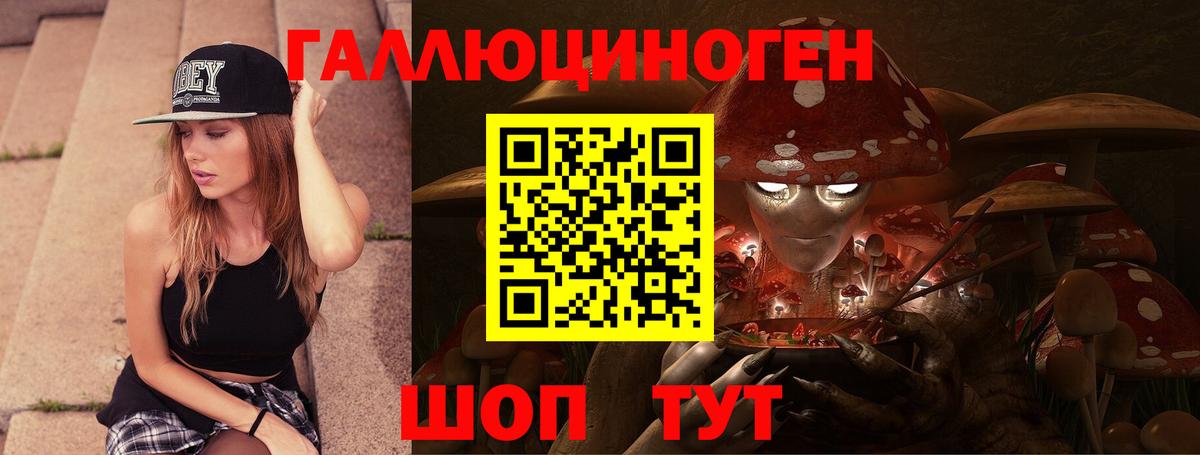 Буйнакск  Галлюциногенные грибы GOLDEN TEACHER  хочу наркоту  Вход с VPN 
